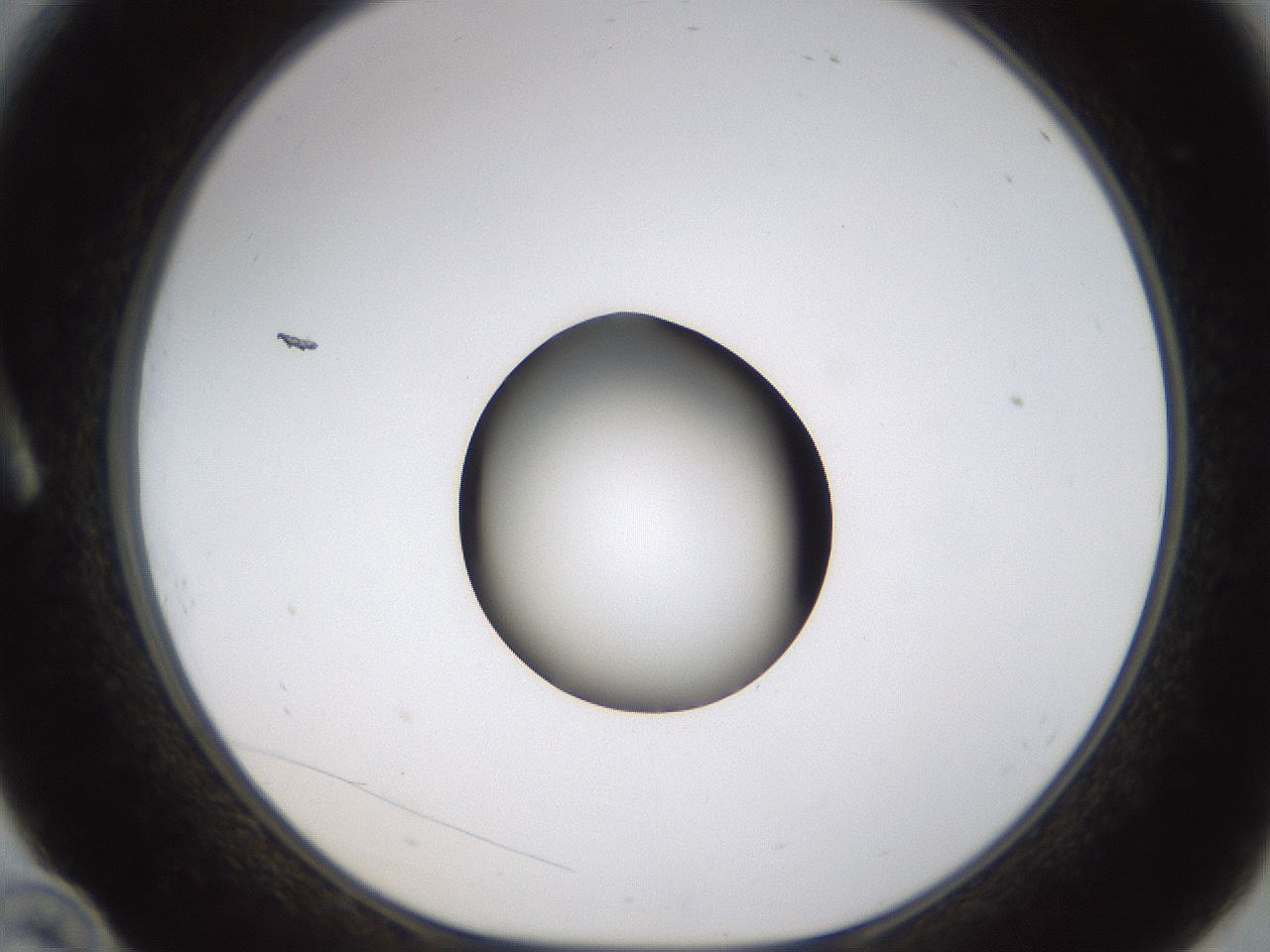 folderID424_plateID1424_batchID5190_wellNum10_profileID1_d1_r87099_ef.jpg
