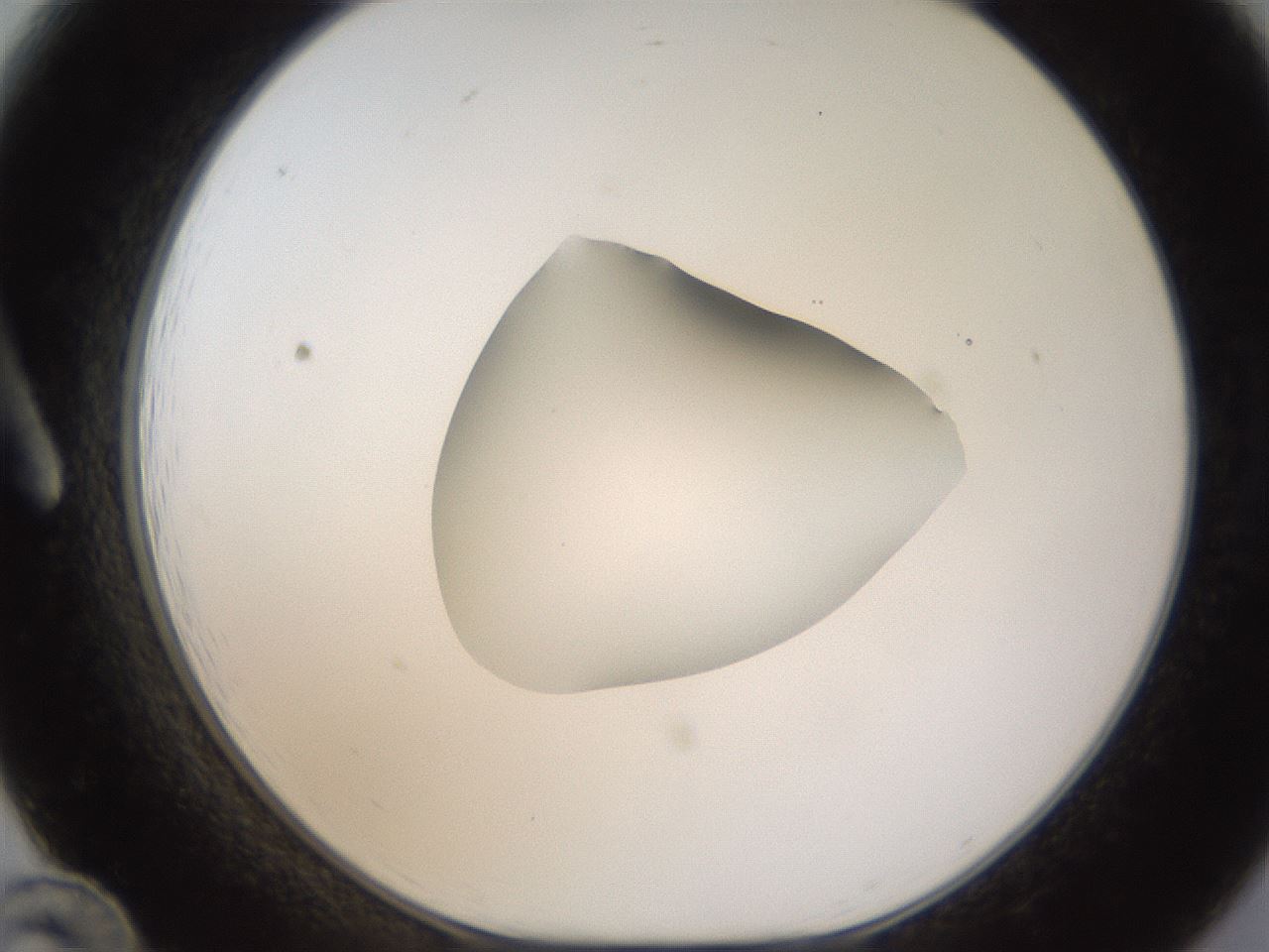 folderID424_plateID1424_batchID5190_wellNum12_profileID1_d1_r87101_ef.jpg
