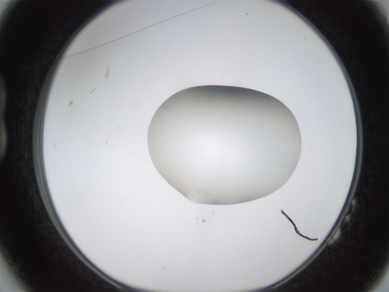 folderID424_plateID1424_batchID5190_wellNum14_profileID1_d1_r87103_ef.jpg