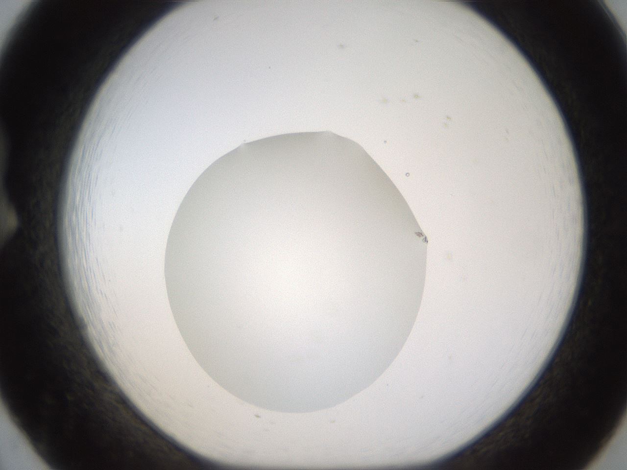 folderID424_plateID1424_batchID5190_wellNum20_profileID1_d1_r87109_ef.jpg