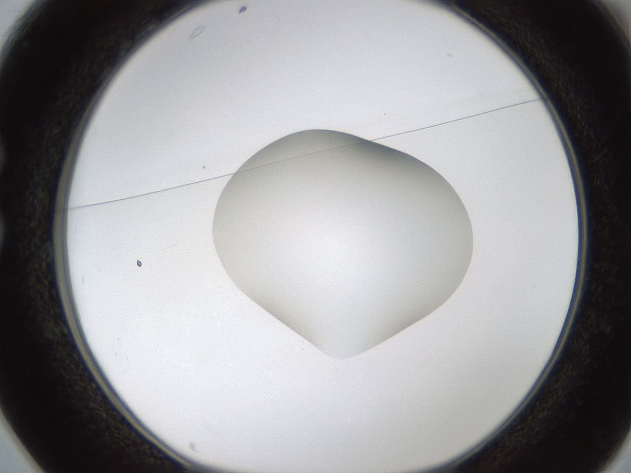 folderID424_plateID1424_batchID5190_wellNum25_profileID1_d1_r87114_ef.jpg