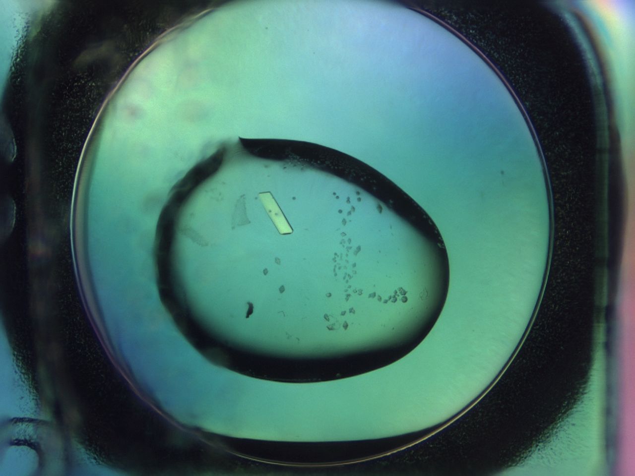 02n3_C12_ImagerDefaults_9.jpg