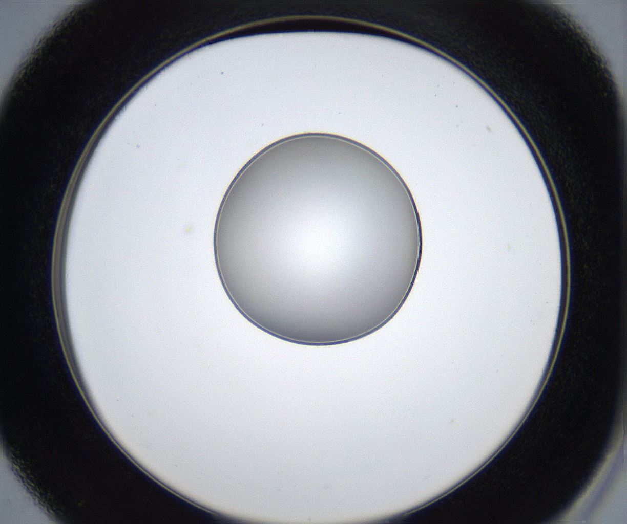 folderID423_plateID2423_batchID11664_wellNum37_profileID1_d2_r180105_ef.jpg