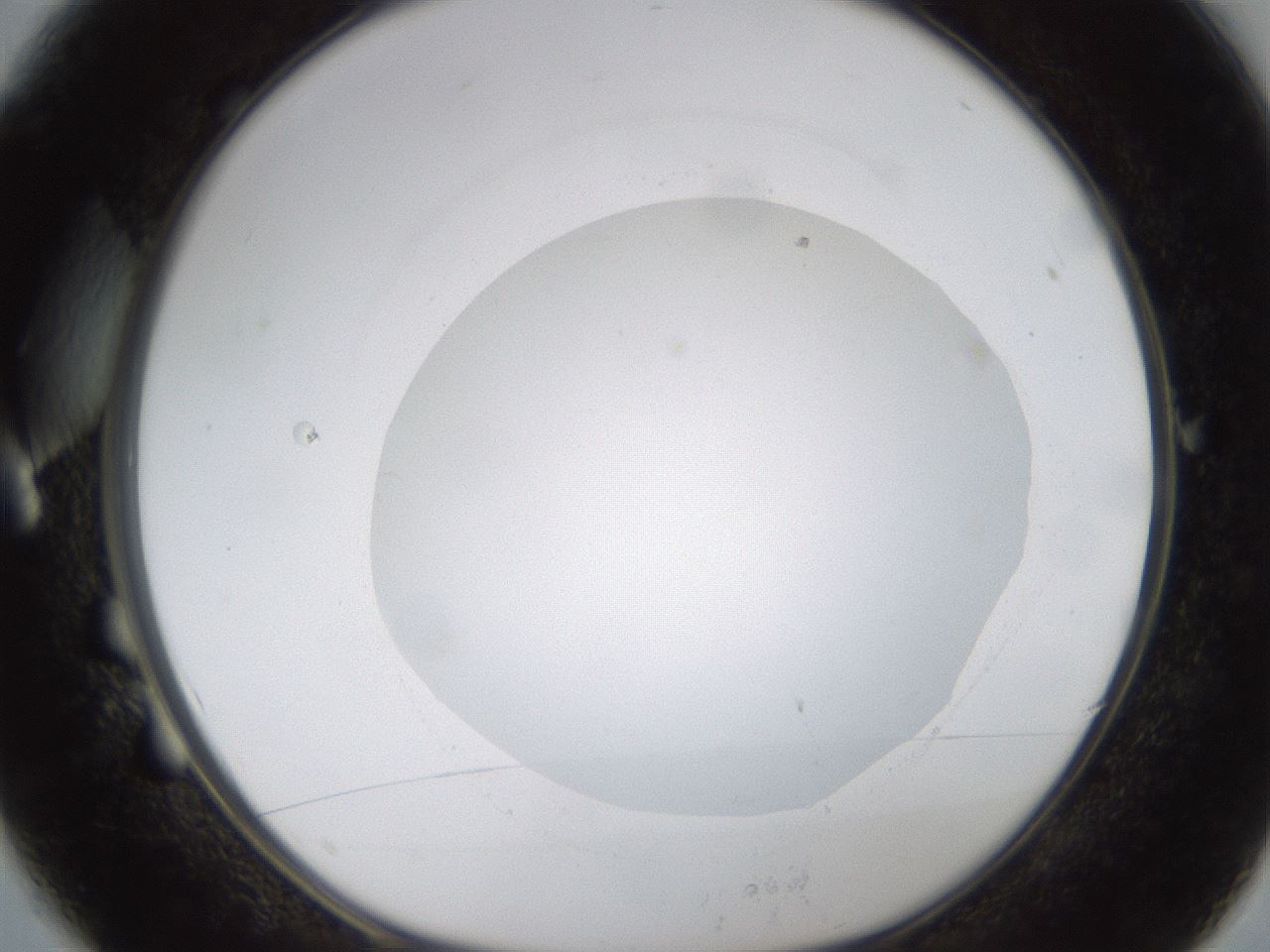 folderID424_plateID1424_batchID5190_wellNum1_profileID1_d1_r87090_ef.jpg