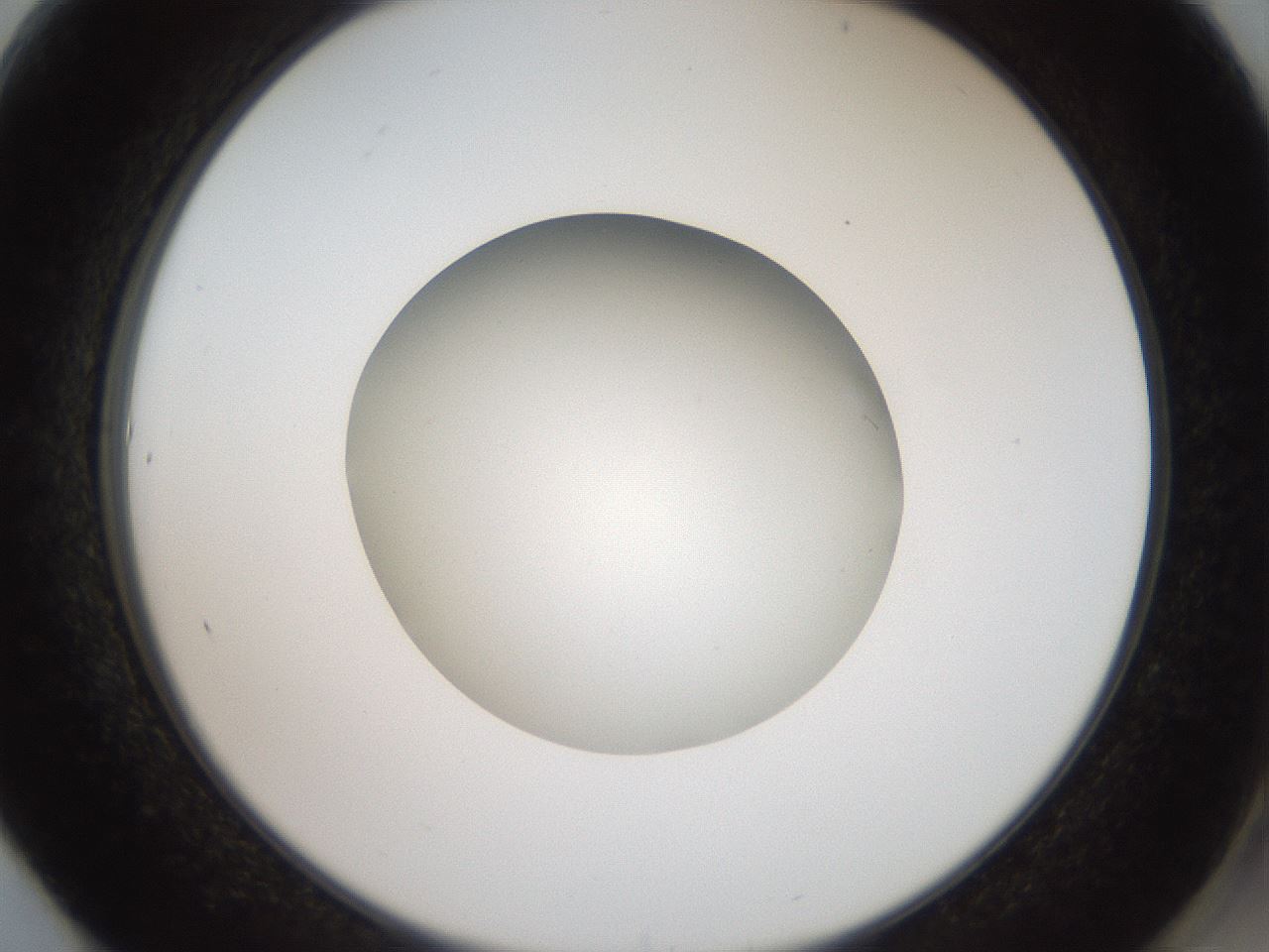 folderID42_plateID2042_batchID9007_wellNum61_profileID1_d2_r137872_ef.jpg