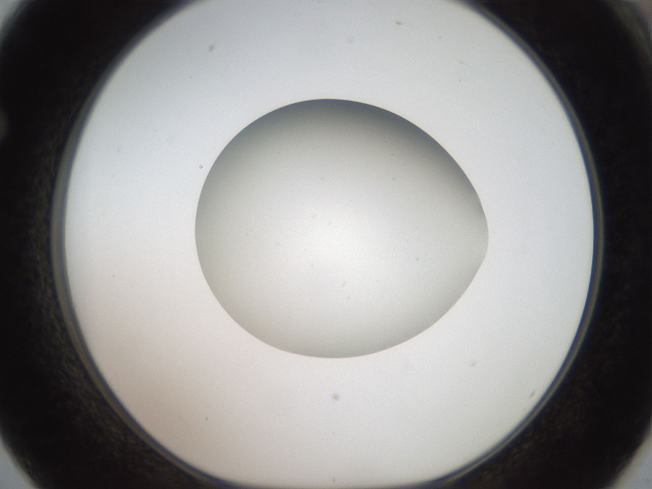 folderID42_plateID2042_batchID9007_wellNum62_profileID1_d1_r137873_ef.jpg