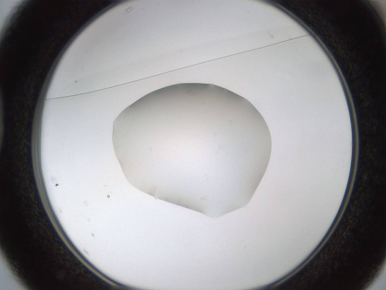 folderID424_plateID1424_batchID5190_wellNum37_profileID1_d1_r87126_ef.jpg