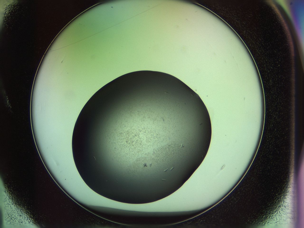 02n4_A4_ImagerDefaults_6.jpg