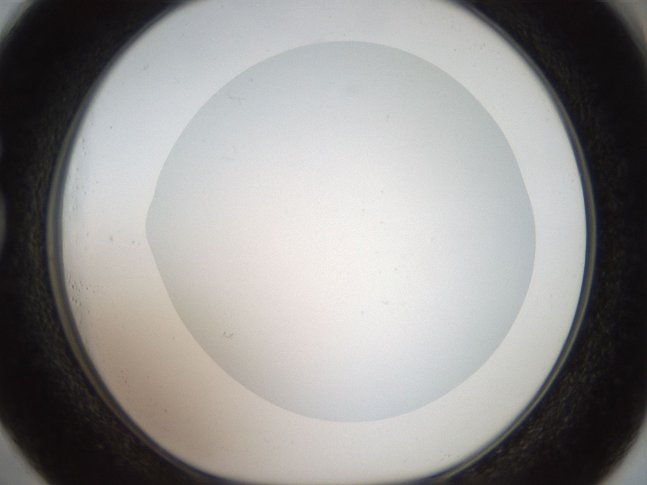 folderID42_plateID2042_batchID9007_wellNum73_profileID1_d1_r137895_ef.jpg
