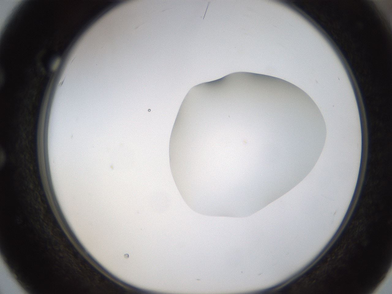 folderID424_plateID1424_batchID5190_wellNum51_profileID1_d1_r87140_ef.jpg