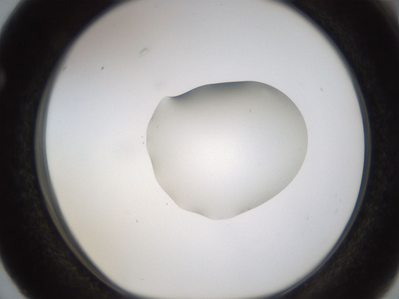 folderID424_plateID1424_batchID5190_wellNum63_profileID1_d1_r87152_ef.jpg