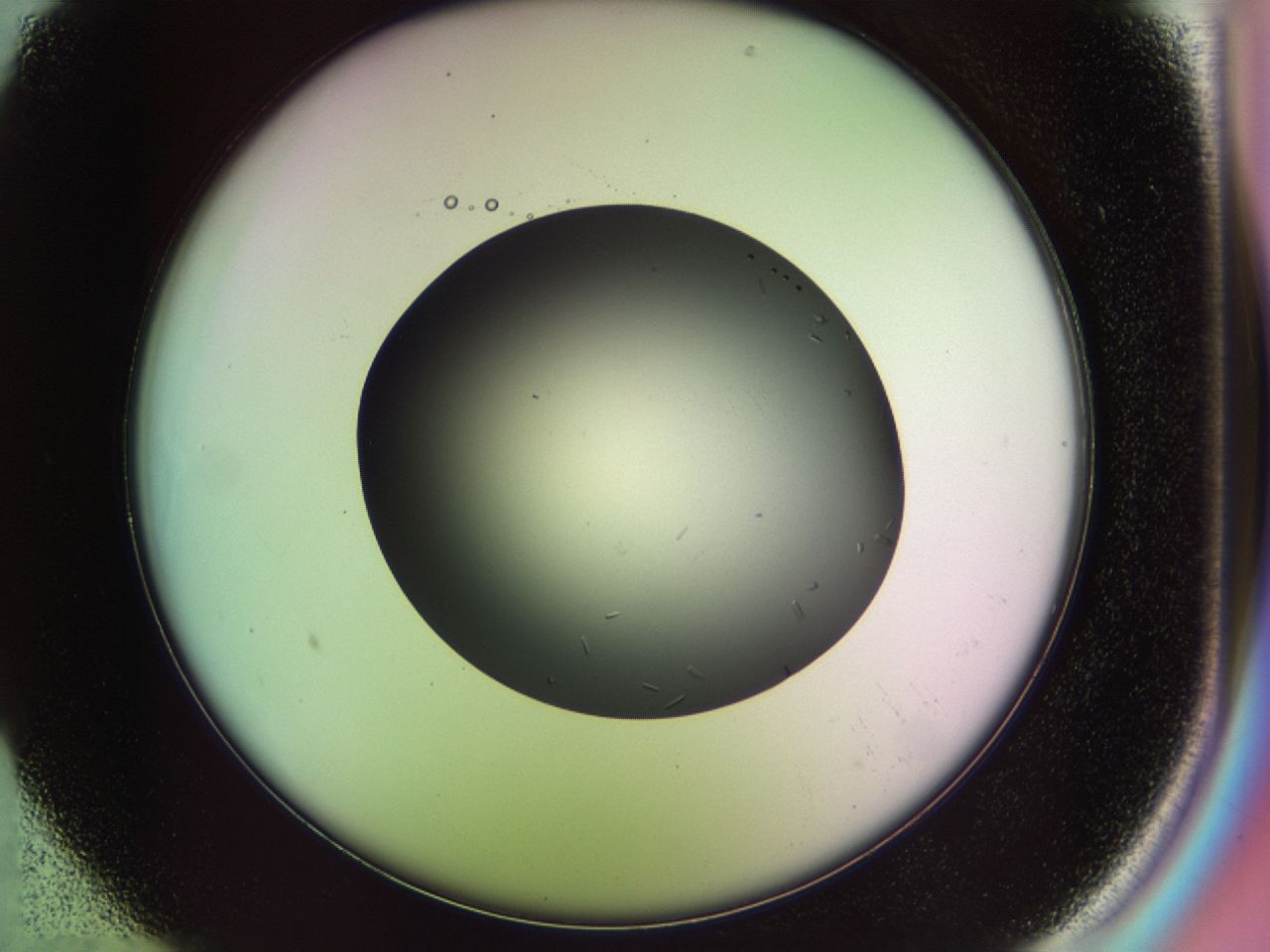 02n4_B1_ImagerDefaults_7.jpg