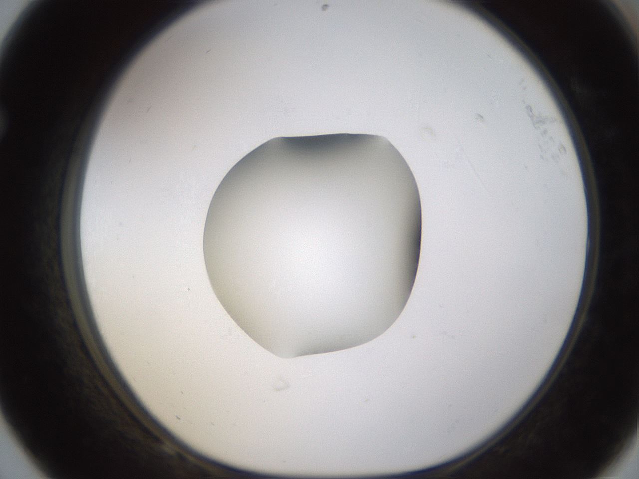 folderID424_plateID1424_batchID5190_wellNum68_profileID1_d1_r87157_ef.jpg