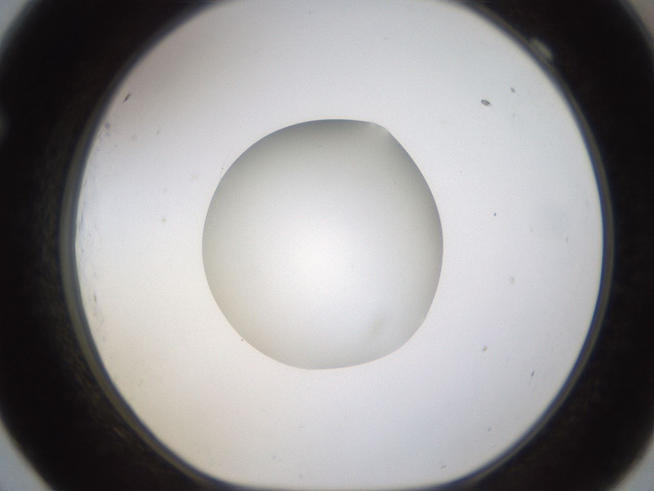 folderID424_plateID1424_batchID5190_wellNum69_profileID1_d1_r87158_ef.jpg