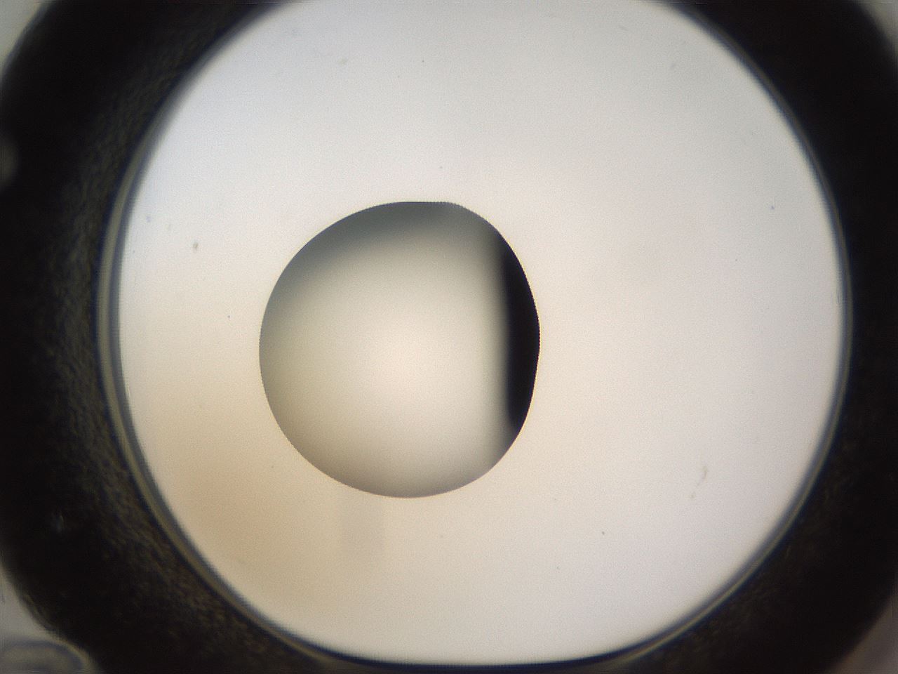 folderID424_plateID1424_batchID5190_wellNum72_profileID1_d1_r87161_ef.jpg