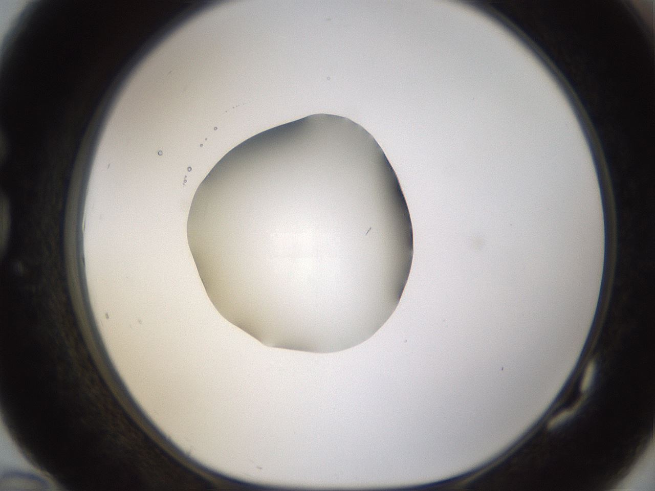 folderID424_plateID1424_batchID5190_wellNum82_profileID1_d1_r87171_ef.jpg