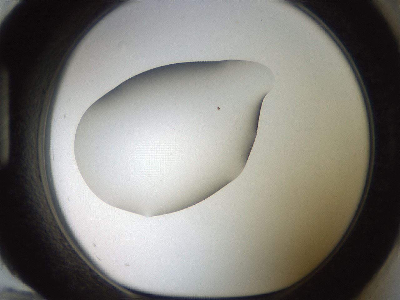 folderID42_plateID2042_batchID9007_wellNum96_profileID1_d1_r137941_ef.jpg