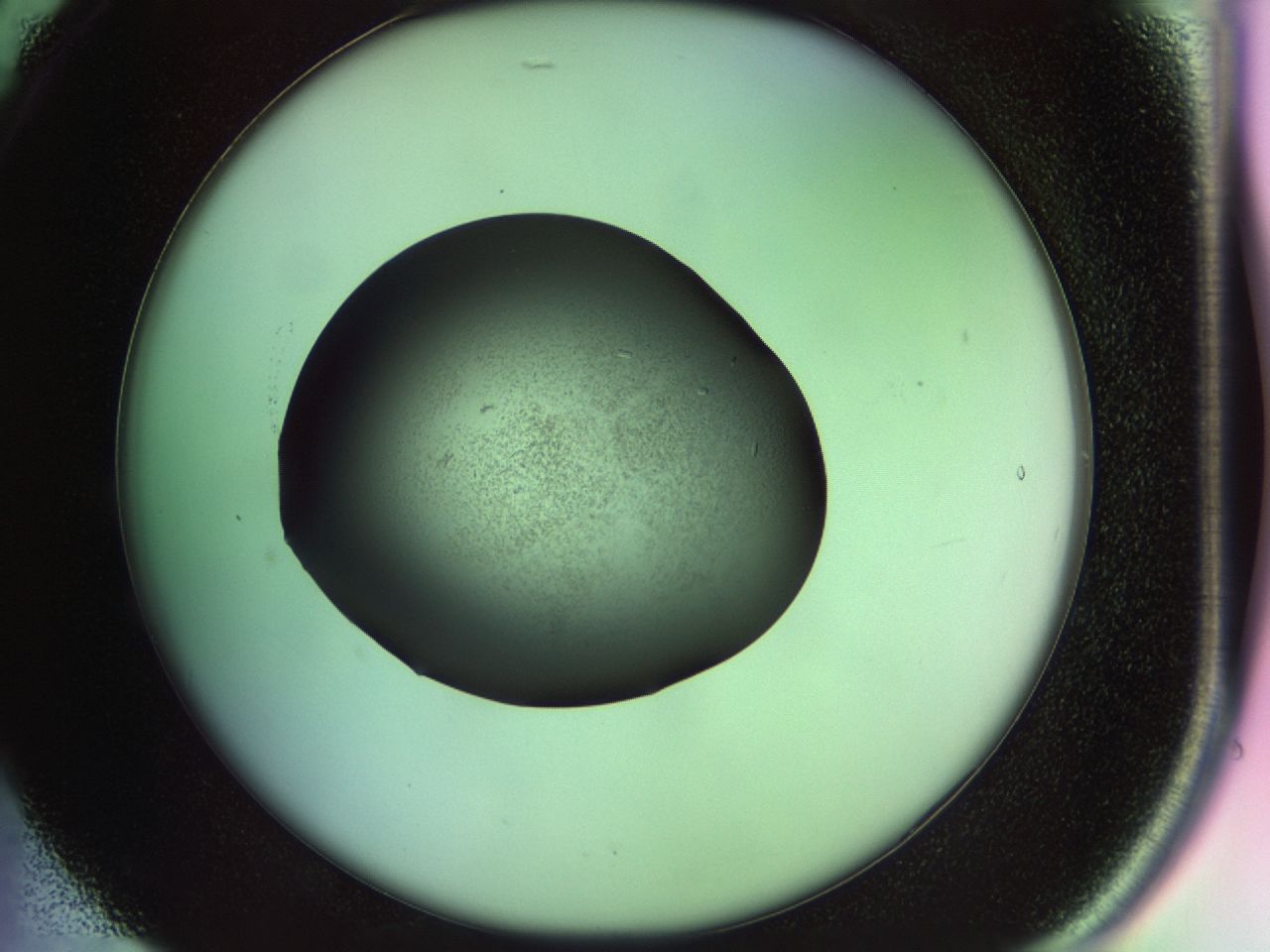 02n4_B5_ImagerDefaults_6.jpg