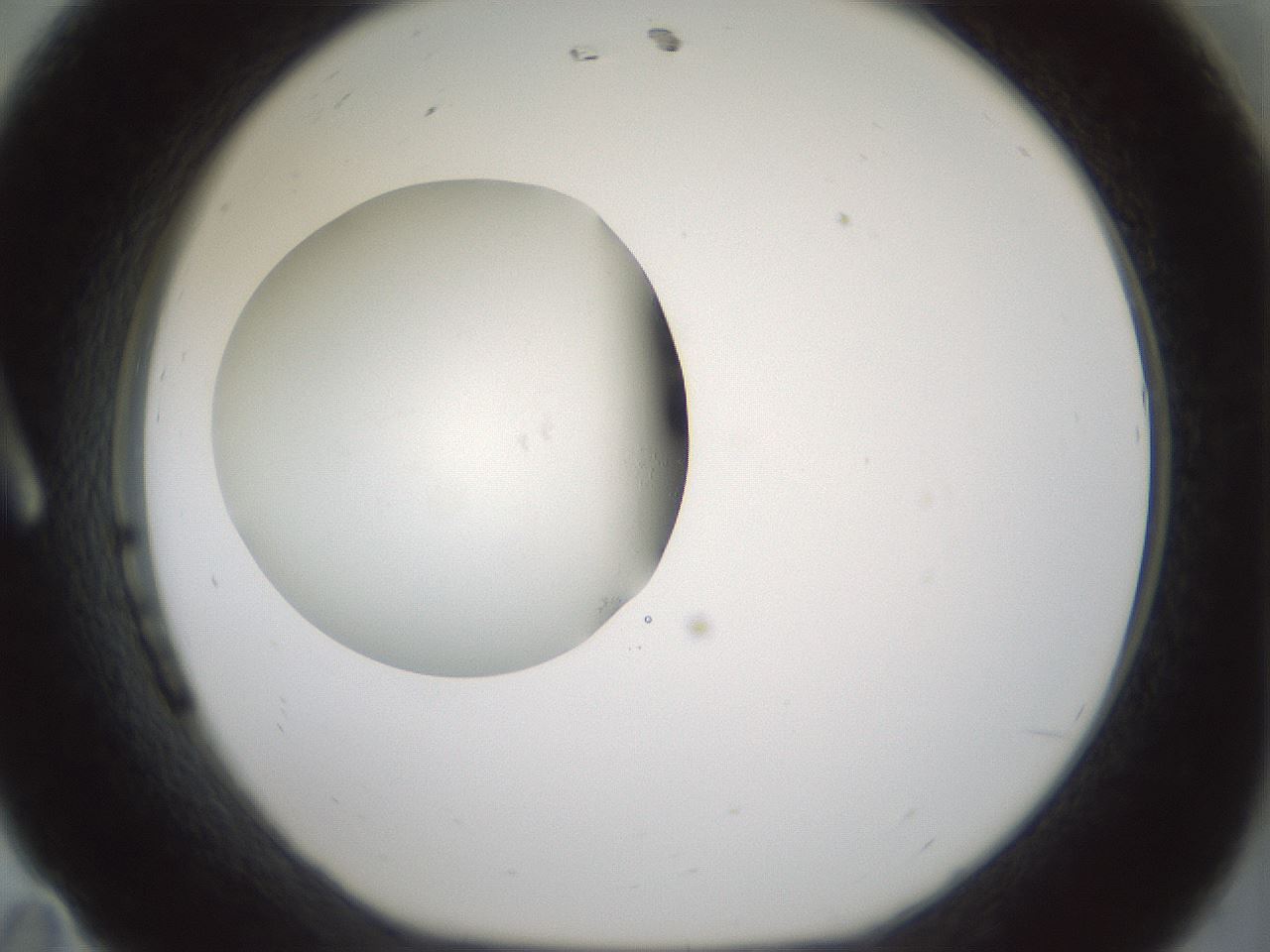 folderID430_plateID1430_batchID5437_wellNum11_profileID1_d1_r89517_ef.jpg