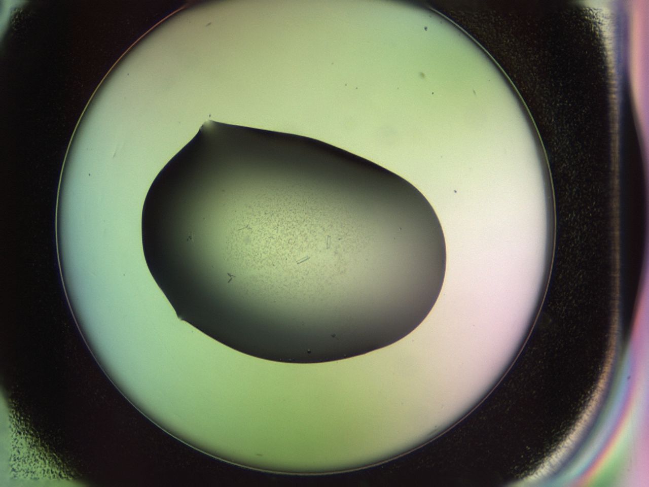 02n4_C2_ImagerDefaults_8.jpg