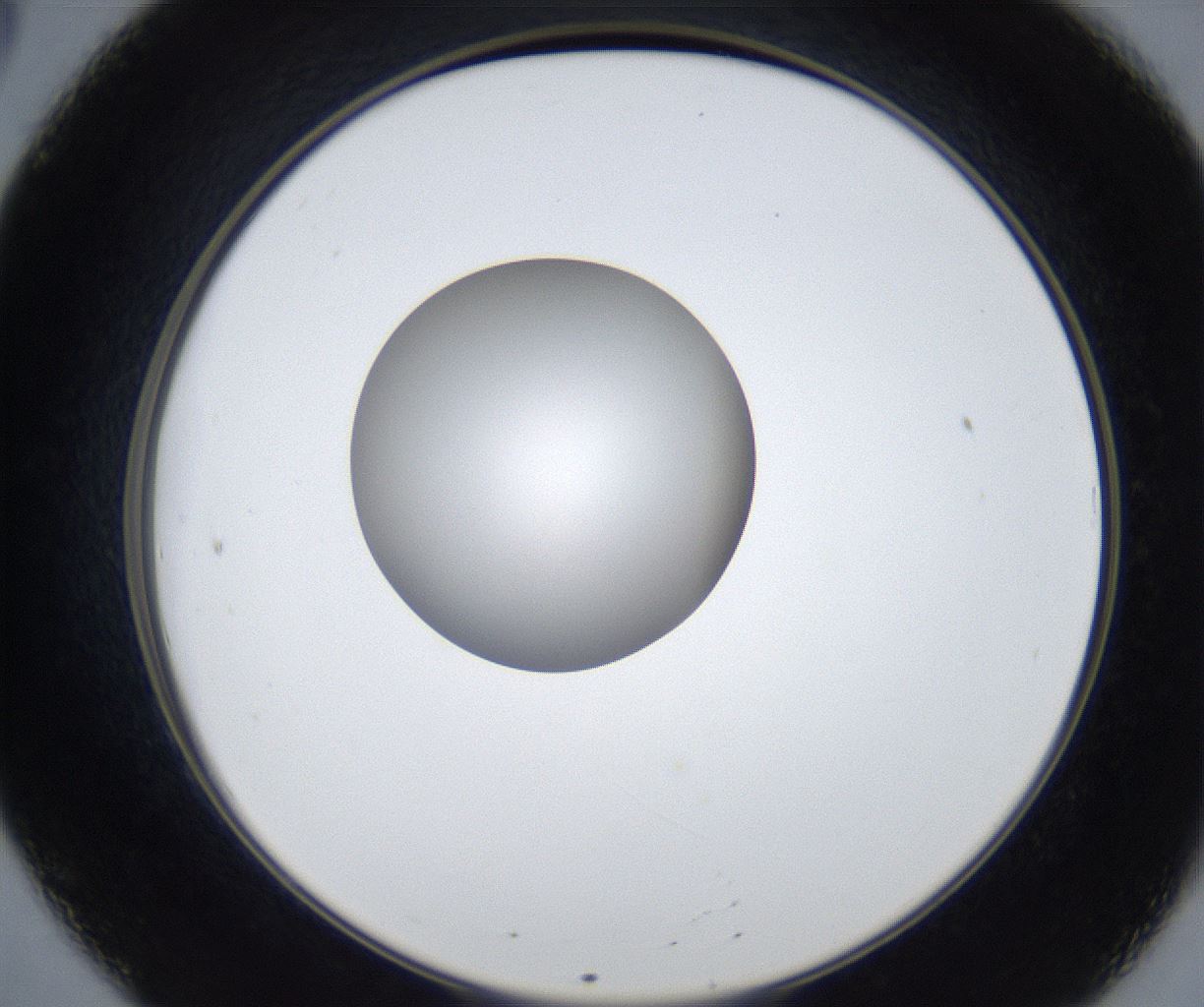 folderID424_plateID2424_batchID11665_wellNum20_profileID1_d2_r180263_ef.jpg