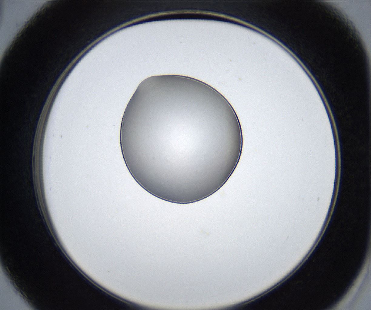 folderID424_plateID2424_batchID11665_wellNum39_profileID1_d2_r180301_ef.jpg