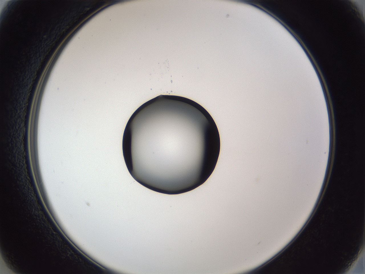 folderID43_plateID1043_batchID2100_wellNum13_profileID1_d2_r46177_ef.jpg