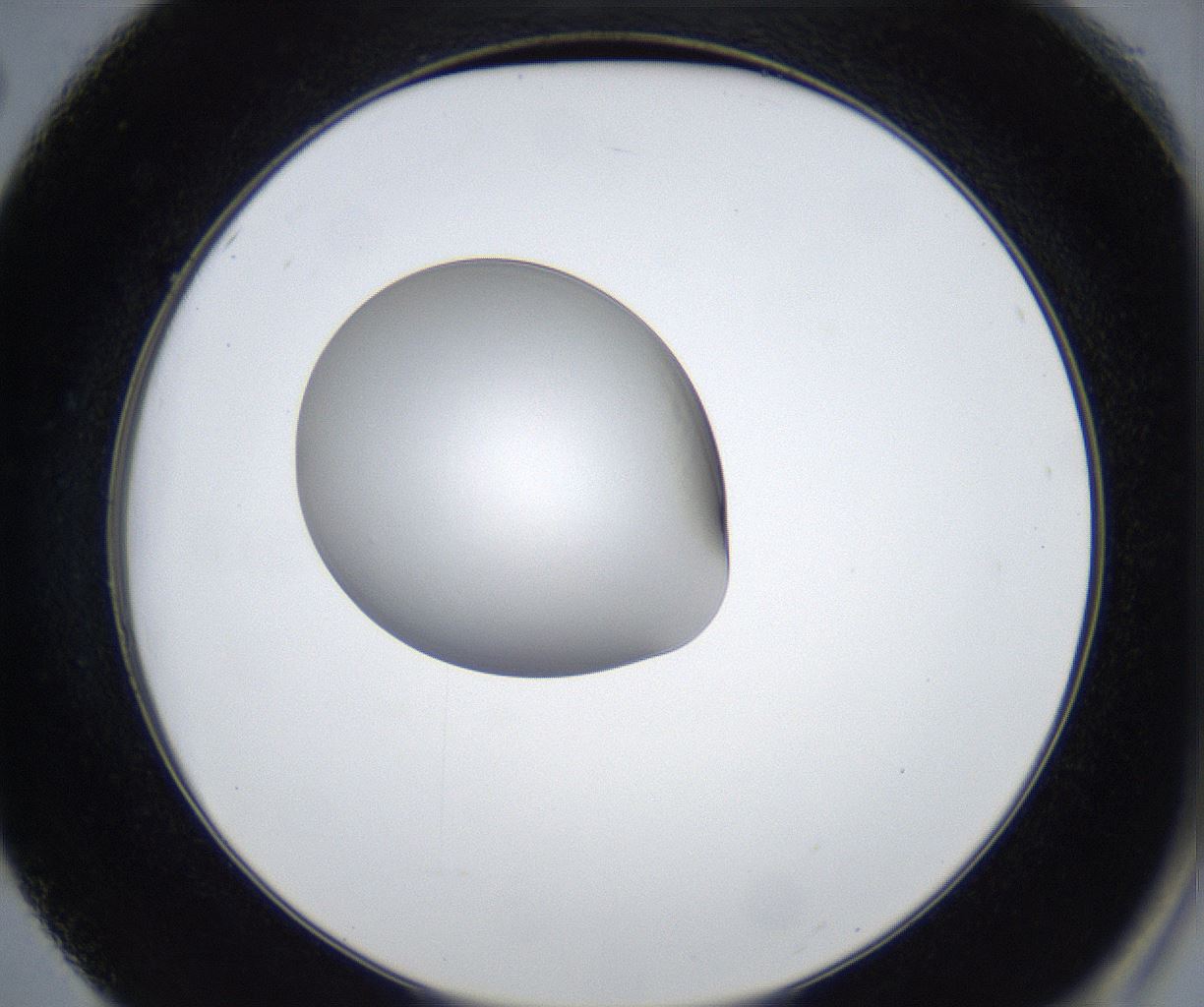 folderID424_plateID2424_batchID11665_wellNum50_profileID1_d2_r180323_ef.jpg