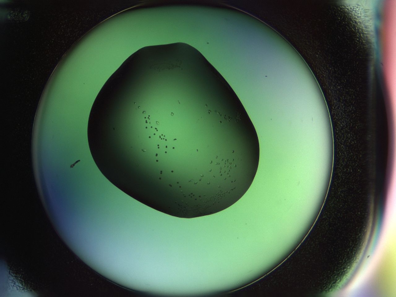 02n4_D12_ImagerDefaults_7.jpg