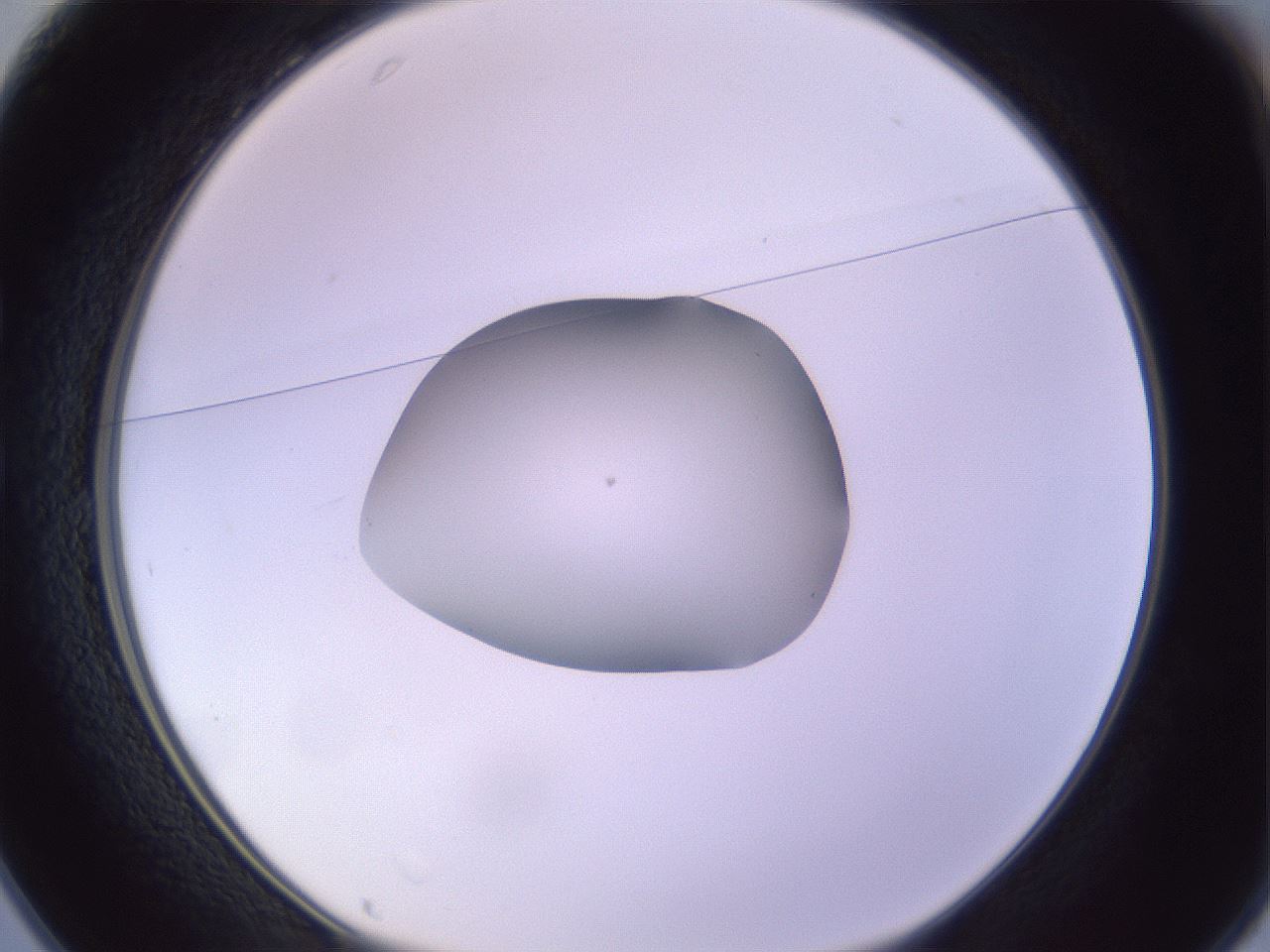 folderID425_plateID1425_batchID5199_wellNum25_profileID1_d1_r87690_ef.jpg