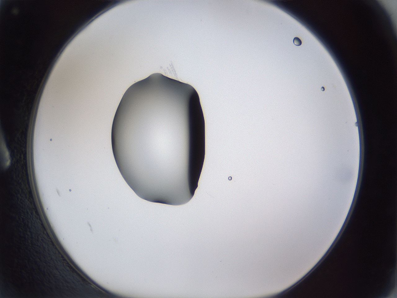 folderID43_plateID1043_batchID2100_wellNum2_profileID1_d1_r46154_ef.jpg