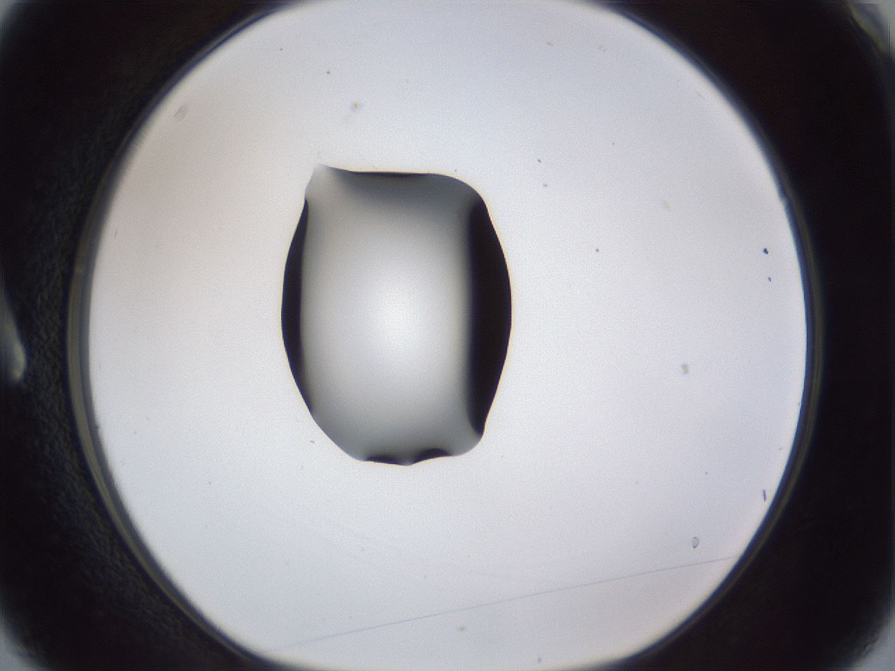 folderID43_plateID1043_batchID2100_wellNum3_profileID1_d1_r46156_ef.jpg