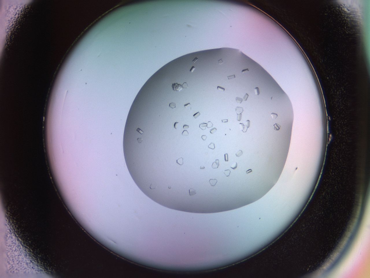 02nc_A1_ImagerDefaults_9.jpg