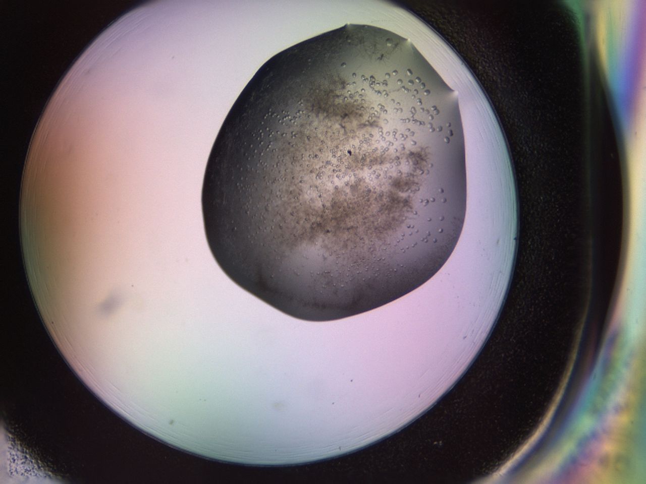 02nd_H1_ImagerDefaults_7.jpg