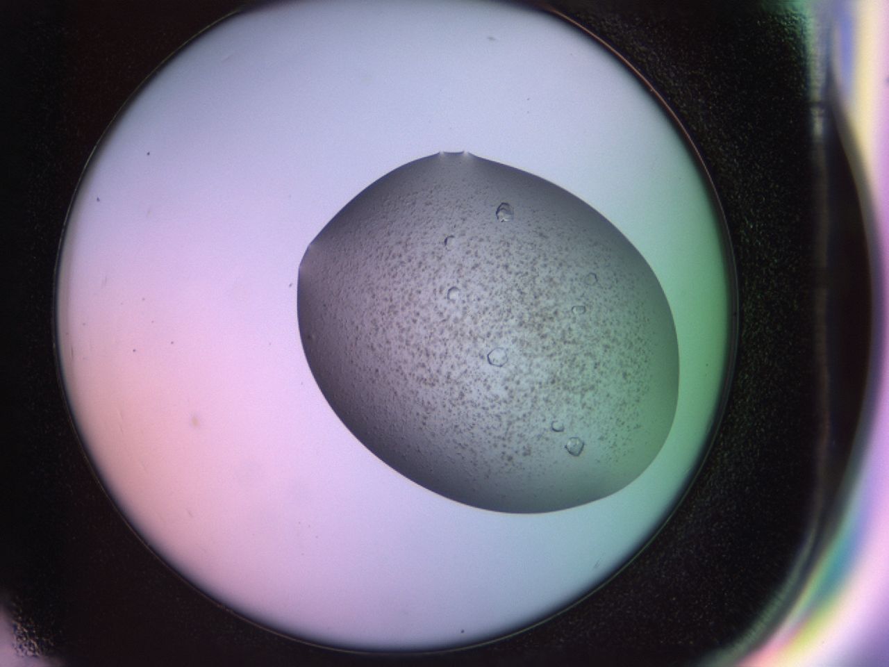 02nd_G7_ImagerDefaults_8.jpg