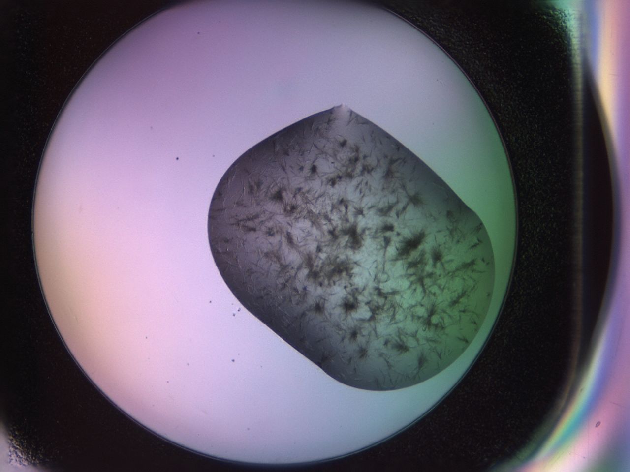02nd_G6_ImagerDefaults_6.jpg