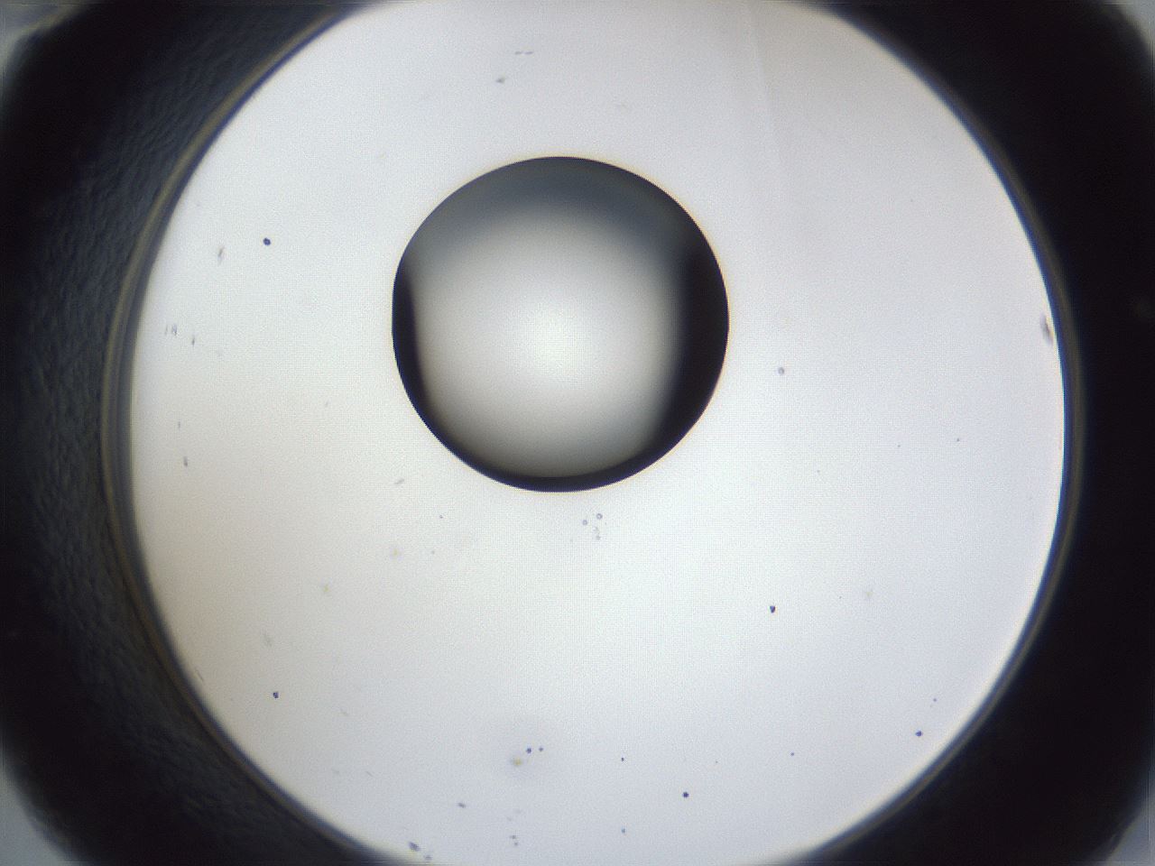 folderID43_plateID1043_batchID2100_wellNum46_profileID1_d2_r46243_ef.jpg