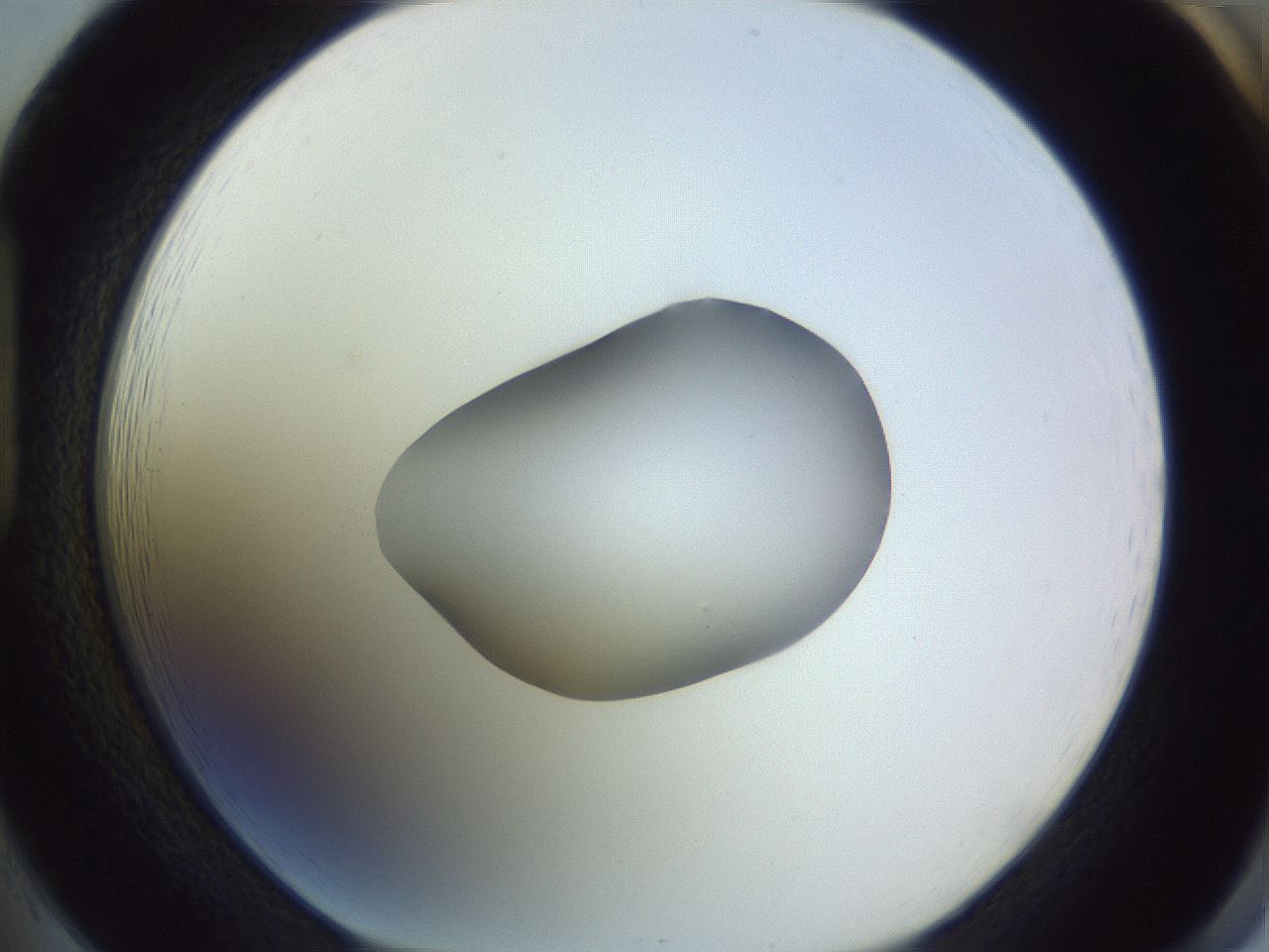 folderID425_plateID1425_batchID5199_wellNum85_profileID1_d1_r87750_ef.jpg