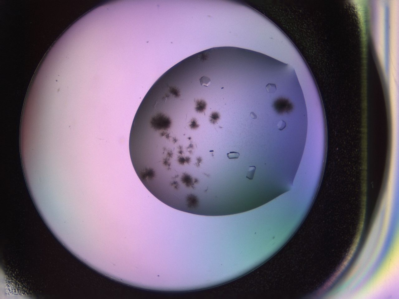 02nd_G3_ImagerDefaults_9.jpg