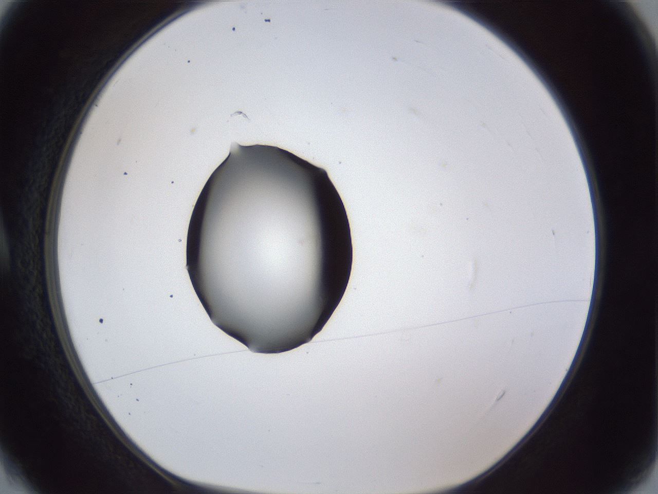 folderID43_plateID1043_batchID2100_wellNum4_profileID1_d1_r46158_ef.jpg