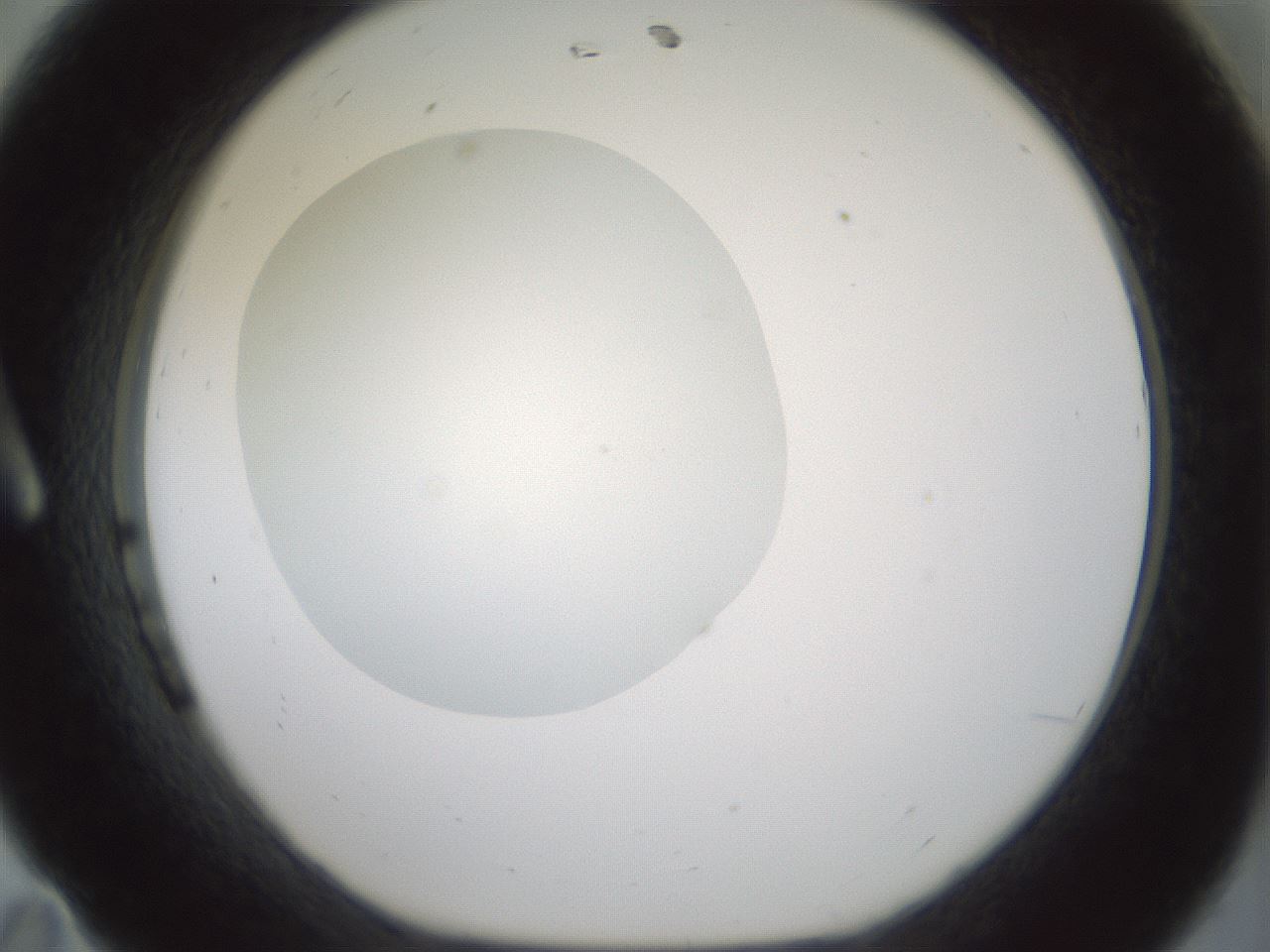 folderID426_plateID1426_batchID5433_wellNum11_profileID1_d1_r88173_ef.jpg