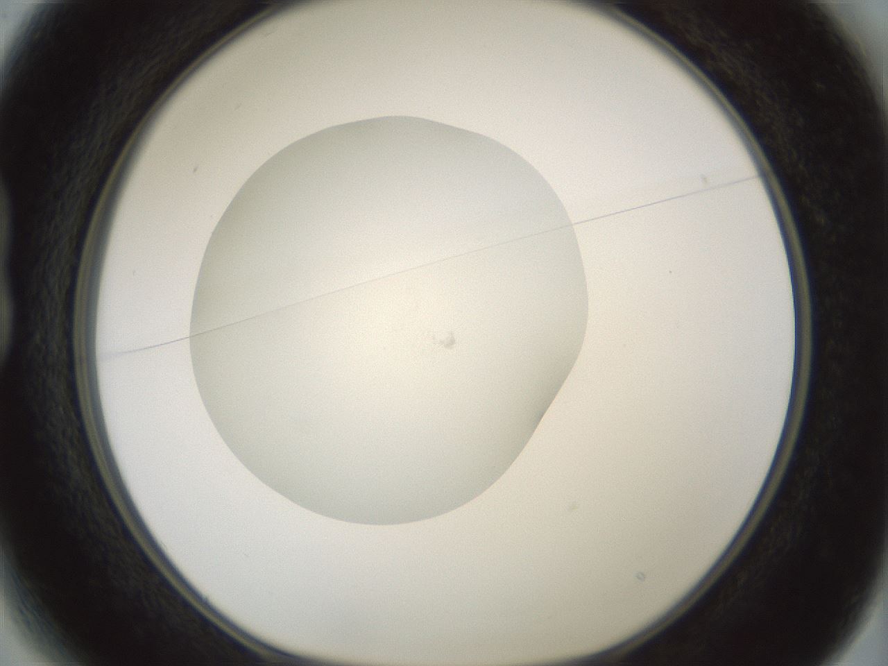 folderID426_plateID1426_batchID5433_wellNum13_profileID1_d1_r88177_ef.jpg