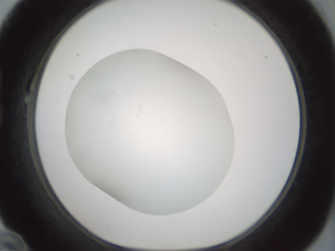 folderID426_plateID1426_batchID5433_wellNum22_profileID1_d1_r88195_ef.jpg