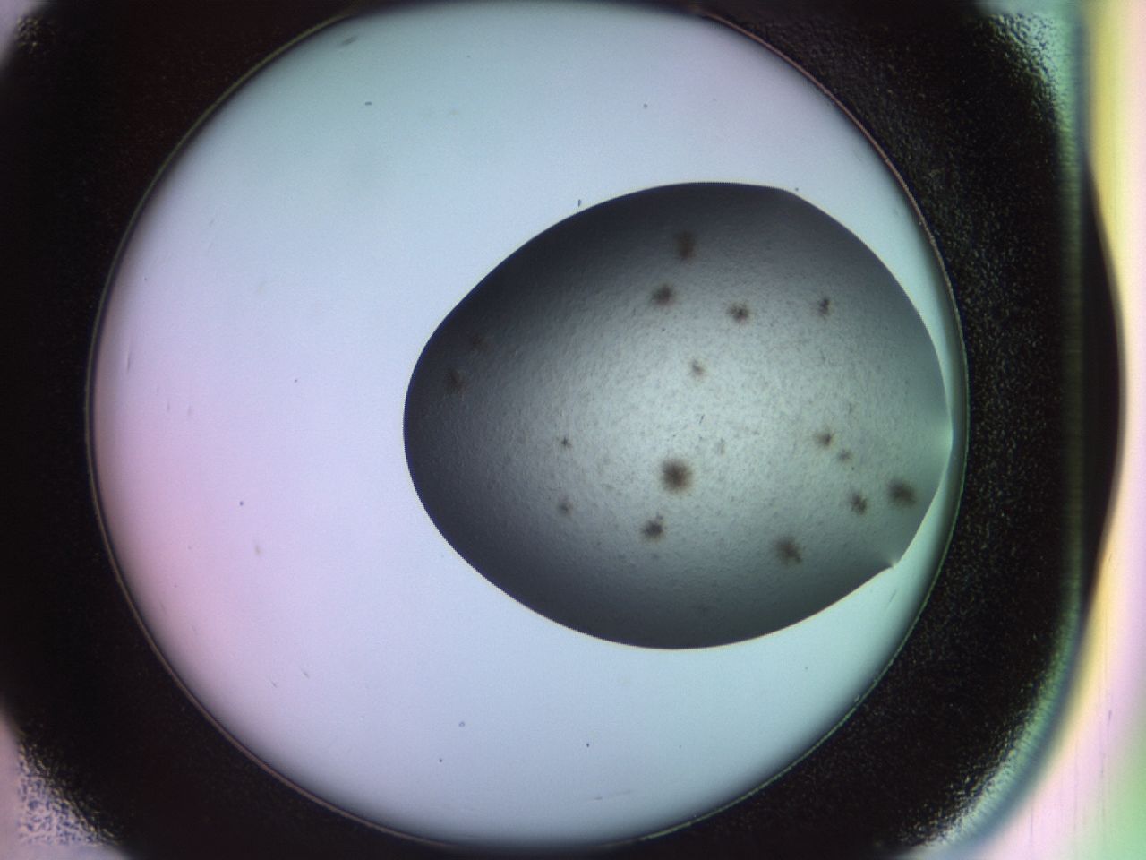02nd_D7_ImagerDefaults_6.jpg
