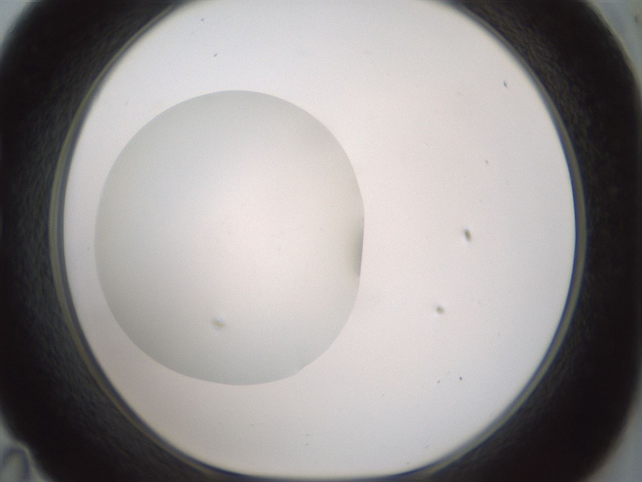 folderID426_plateID1426_batchID5433_wellNum35_profileID1_d1_r88221_ef.jpg