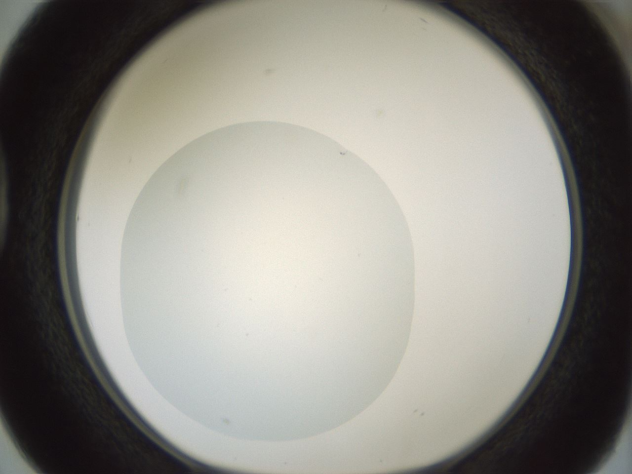 folderID426_plateID1426_batchID5433_wellNum38_profileID1_d1_r88227_ef.jpg