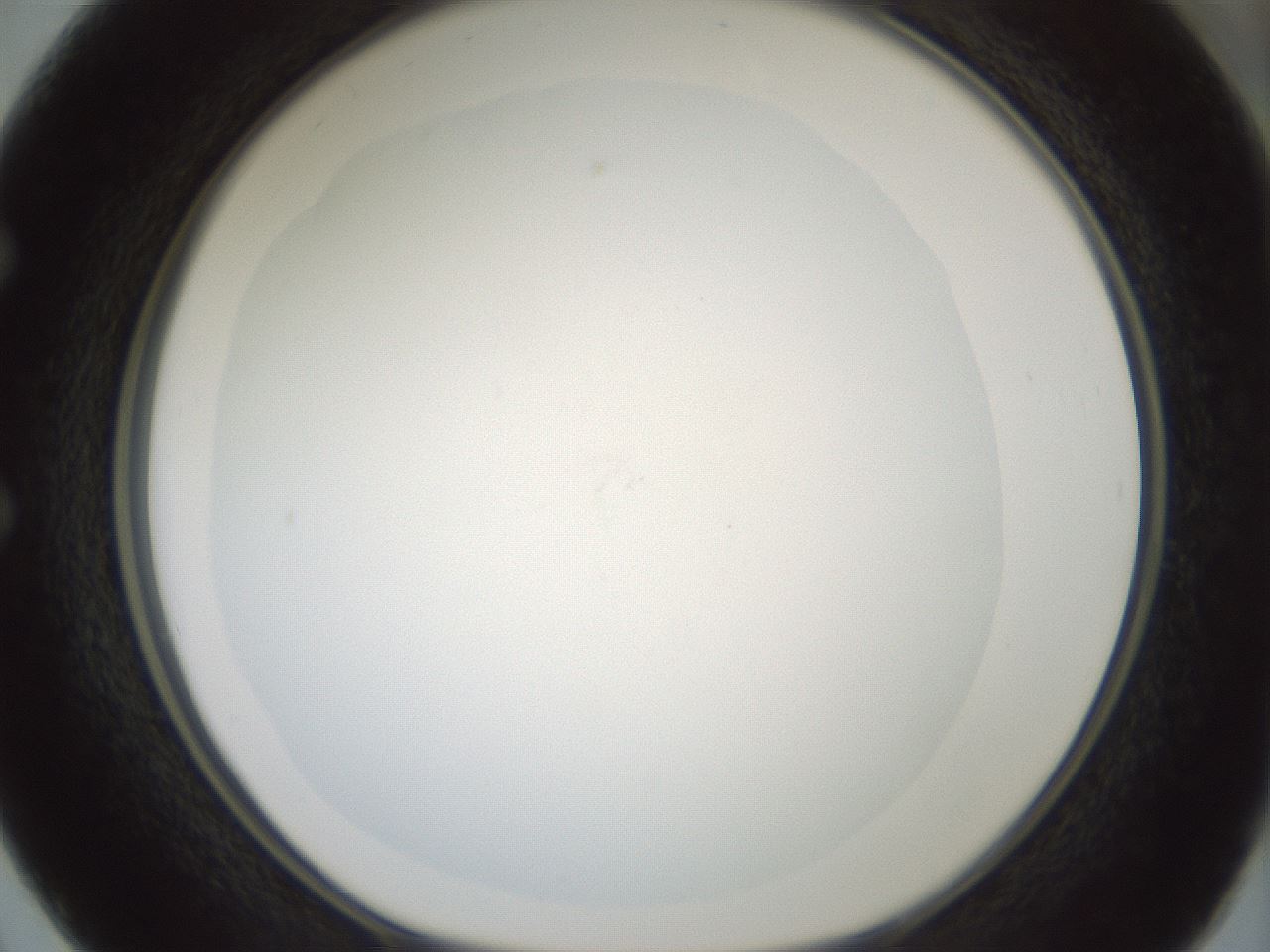 folderID426_plateID1426_batchID5433_wellNum50_profileID1_d1_r88251_ef.jpg