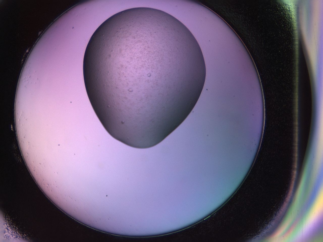 02ne_H3_ImagerDefaults_7.jpg