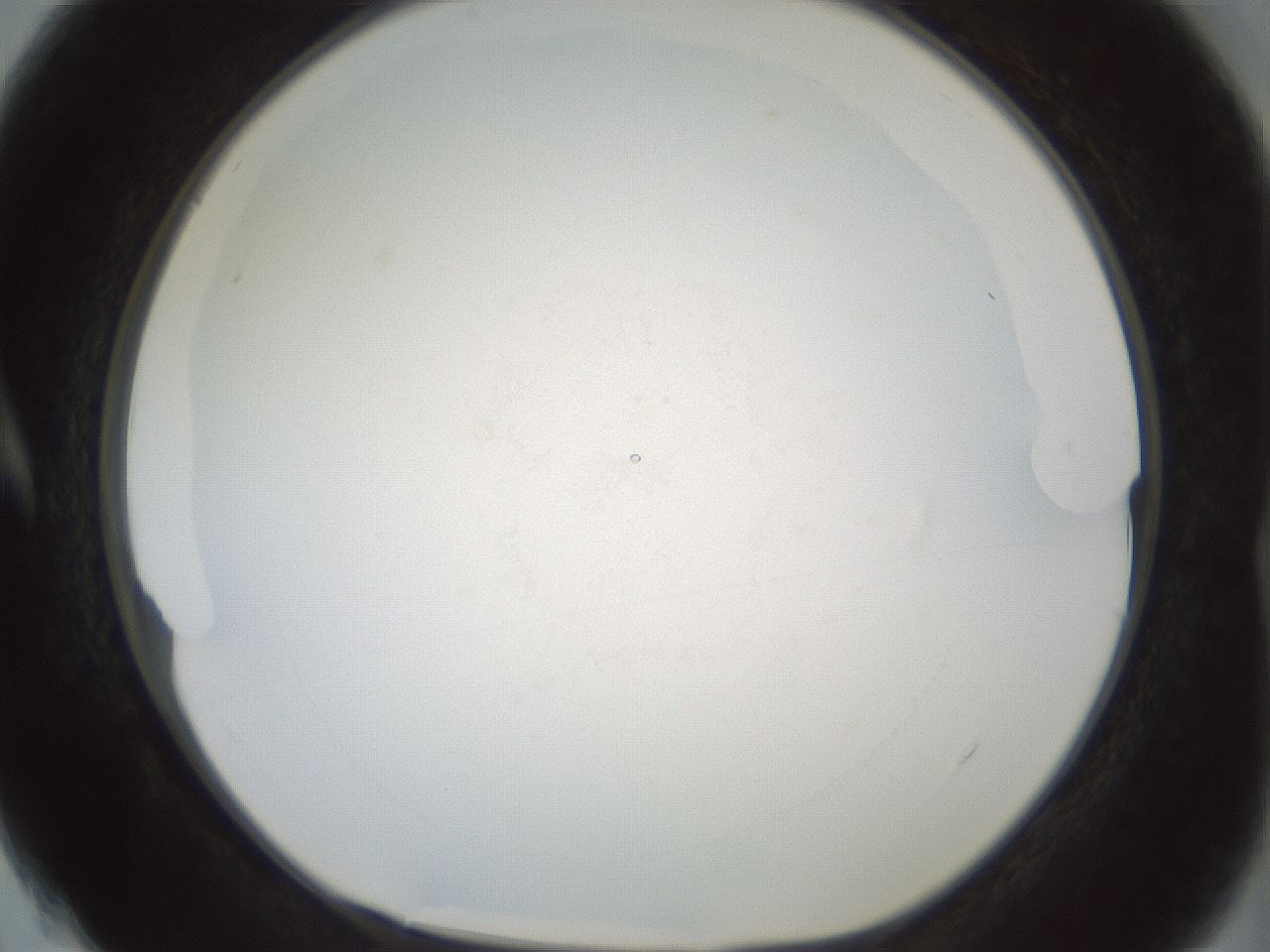 folderID426_plateID1426_batchID5433_wellNum4_profileID1_d1_r88159_ef.jpg