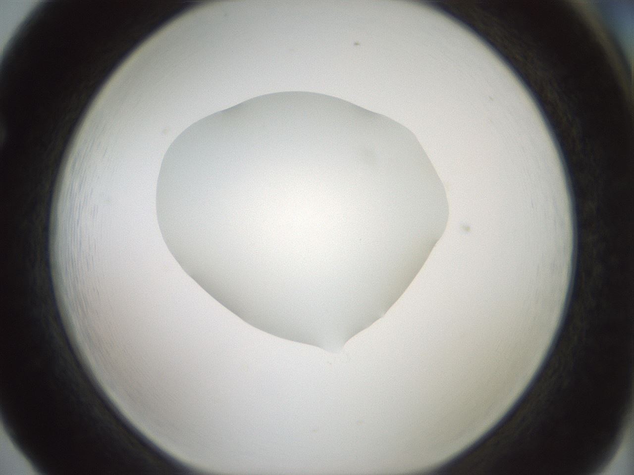 folderID426_plateID1426_batchID5433_wellNum65_profileID1_d1_r88281_ef.jpg